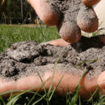 Close up of hands sifting through soil