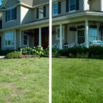 Side by side photo, on the left is a home with dead grass and on the right is the same home with lush green grass