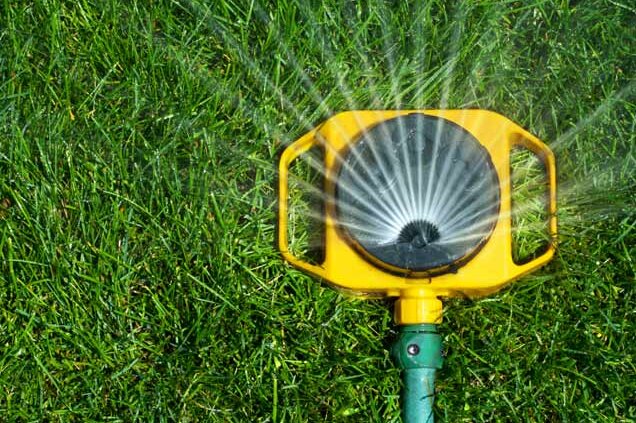 Close up of yellow sprinkler attached to green hose watering lawn