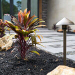 close up of landscaping featuring a path light, plant and rocks in a mulch bed